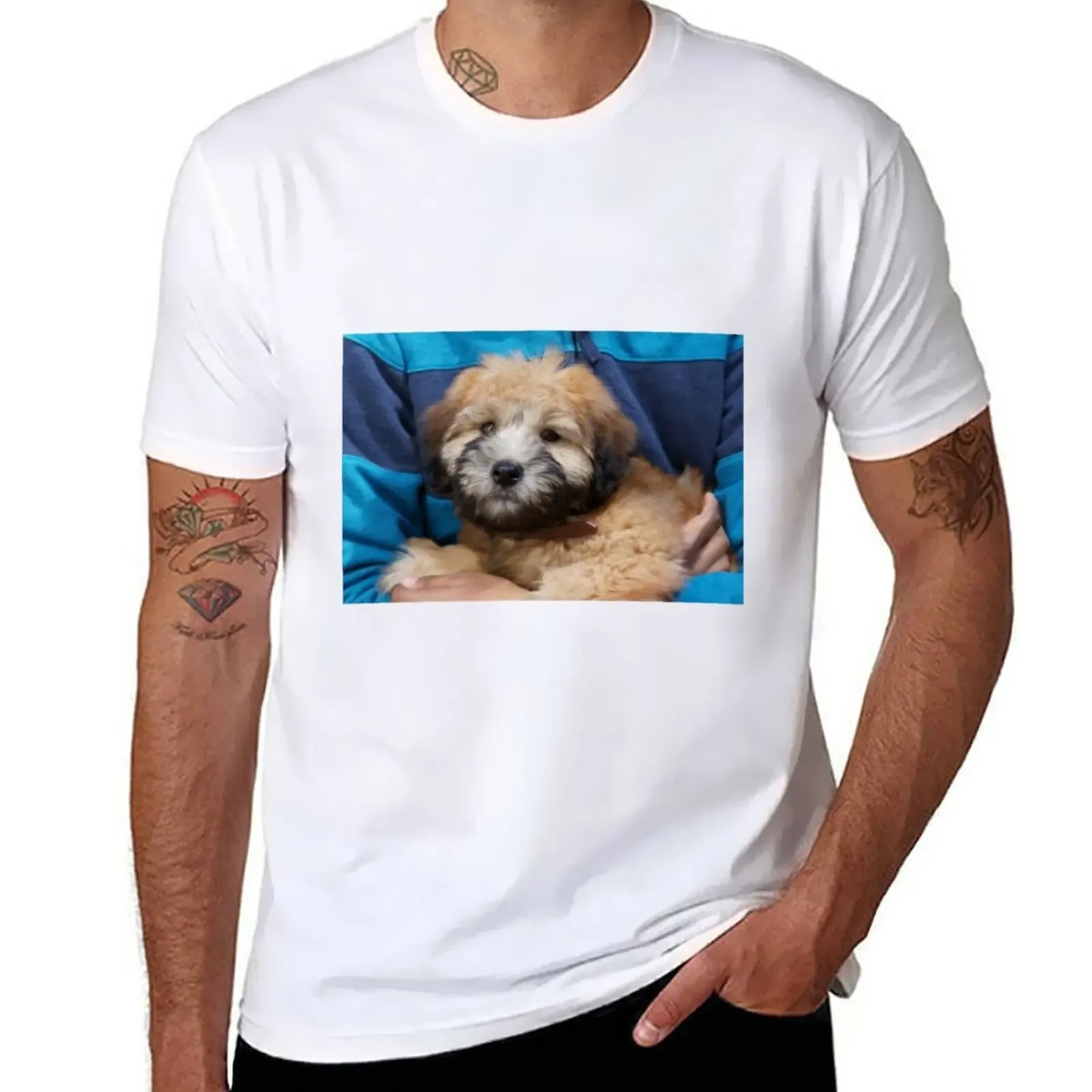 Soft coated Wheaten Terrier puppy dog. T-Shirt cute clothes plain Men's cotton t-shirt