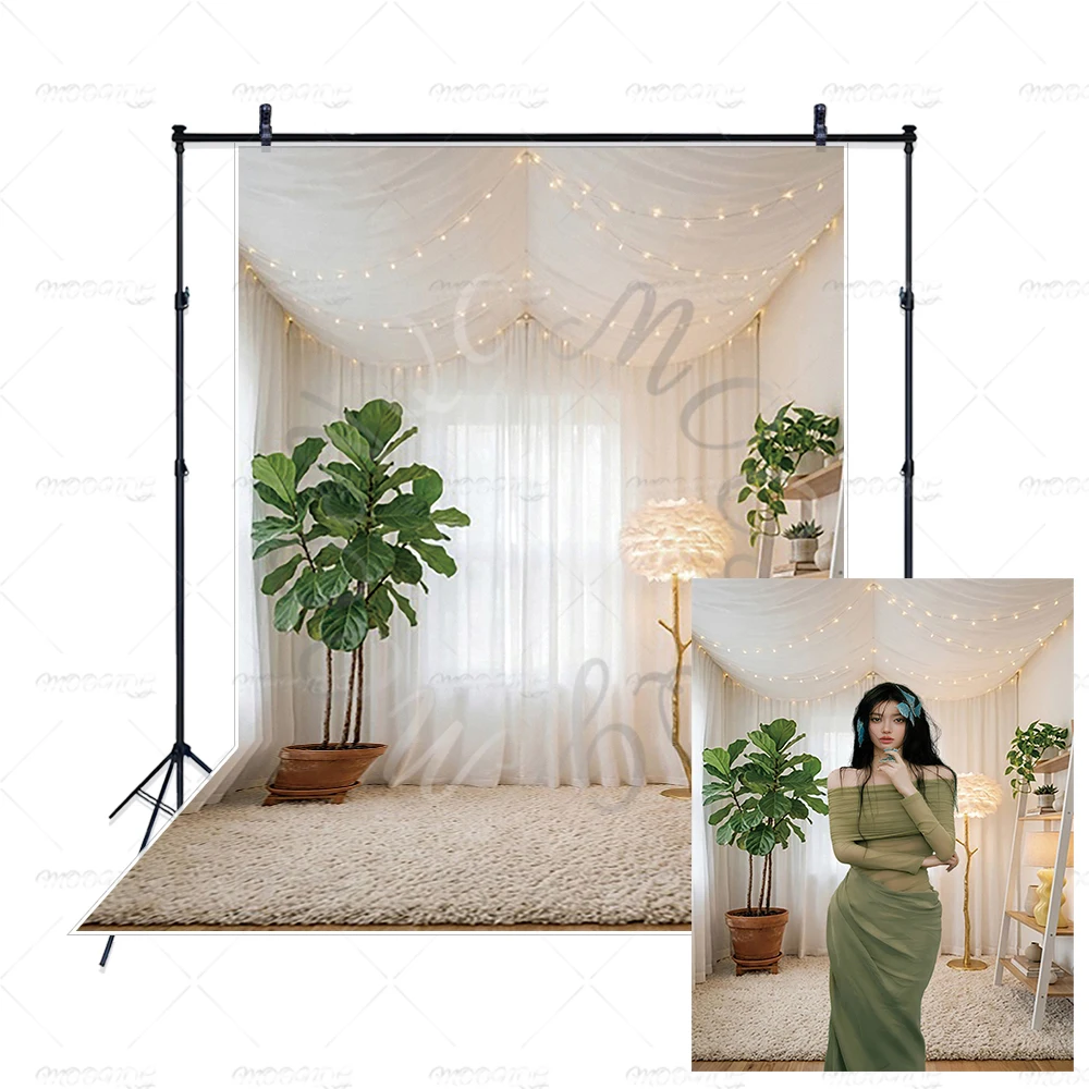Toile de fond photo minimaliste neutre aux tons chauds, avec plantes et éclairage, pour studio et accessoires de photocall