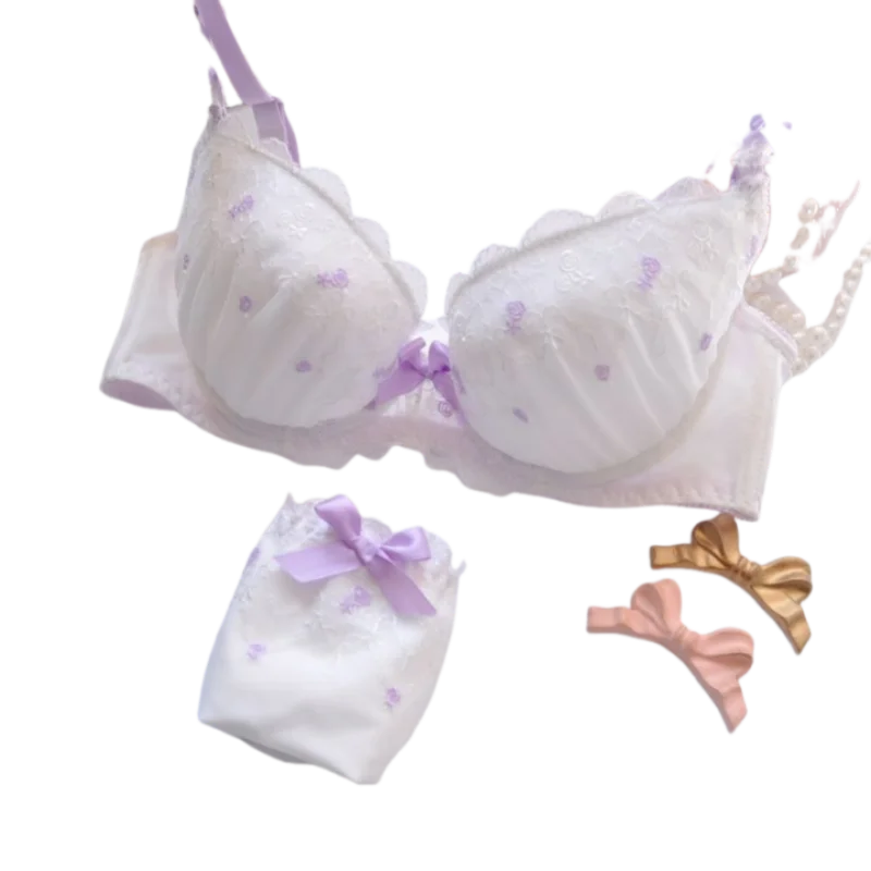 Embroider Thin Cup Girl Cute Sexy Lingerie Bra Set Plus Size Women