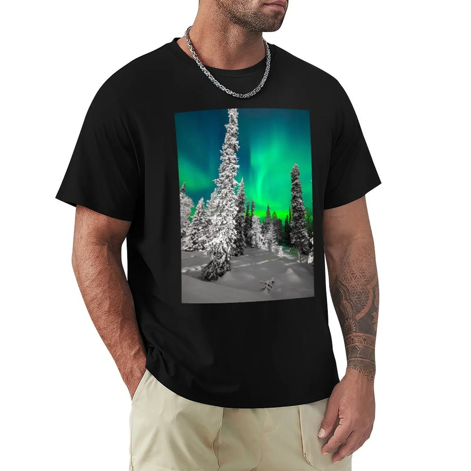 Northern Lights, Aurora Borealis, Arctic, Winter, Alaska T-Shirt vintage aesthetic clothes vintage t shirt men