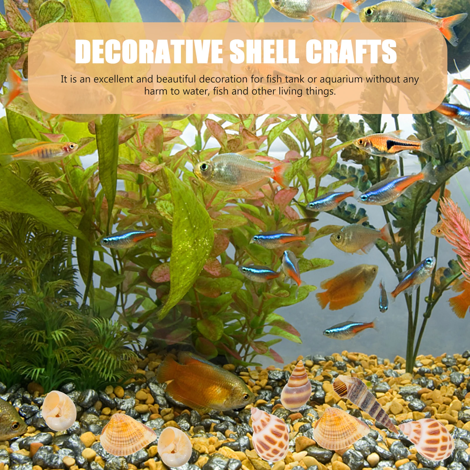 

Natural Conch Decor for Aquarium Shell Landscaping DIY Crafts Fish Tank Decoration and Micro Landscaping Decorative Shell Crafts