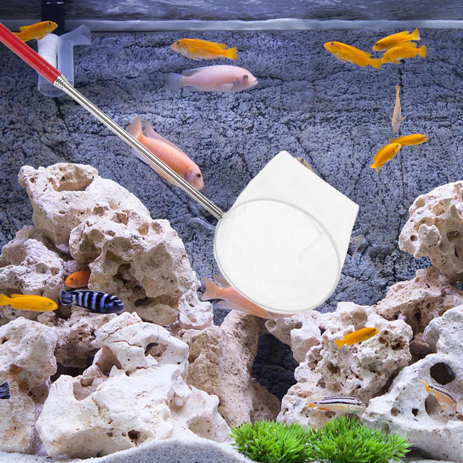 

Small Telescopic Shrimp Adjustable Handle Betta Aquarium Equipment Mini Shrimp Pond Fish Kids Fishing Net Carp Fishing Net Fish