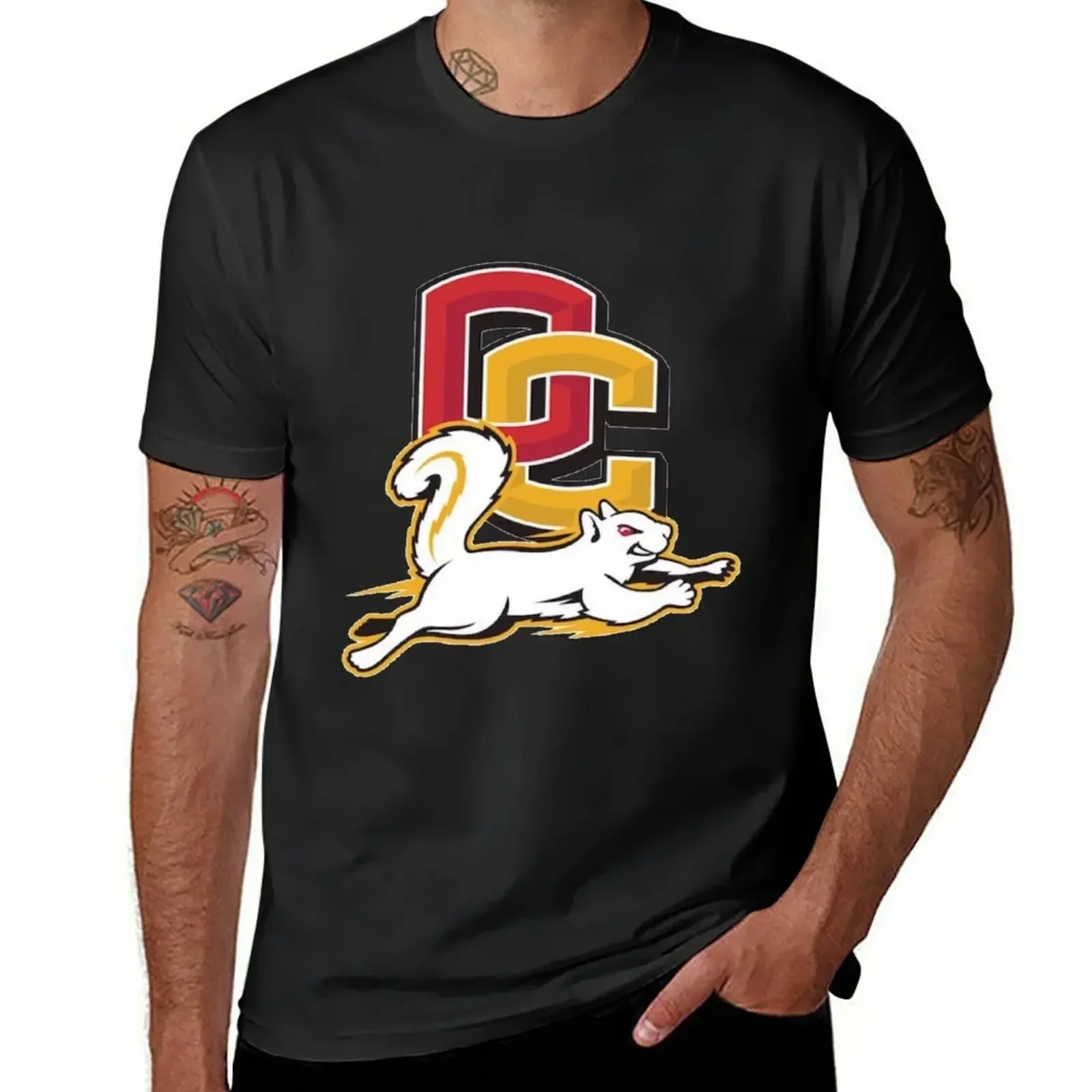 Oberlin College T-Shirt cute clothes heavyweights funny t shirts men