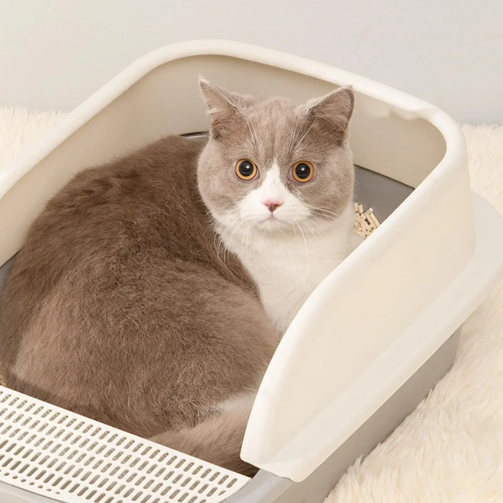 

Pet Cat Toilet Sandbox, Large Removable Splashproof Semi Closed Litter Tray, for Kitten Travel Accessories