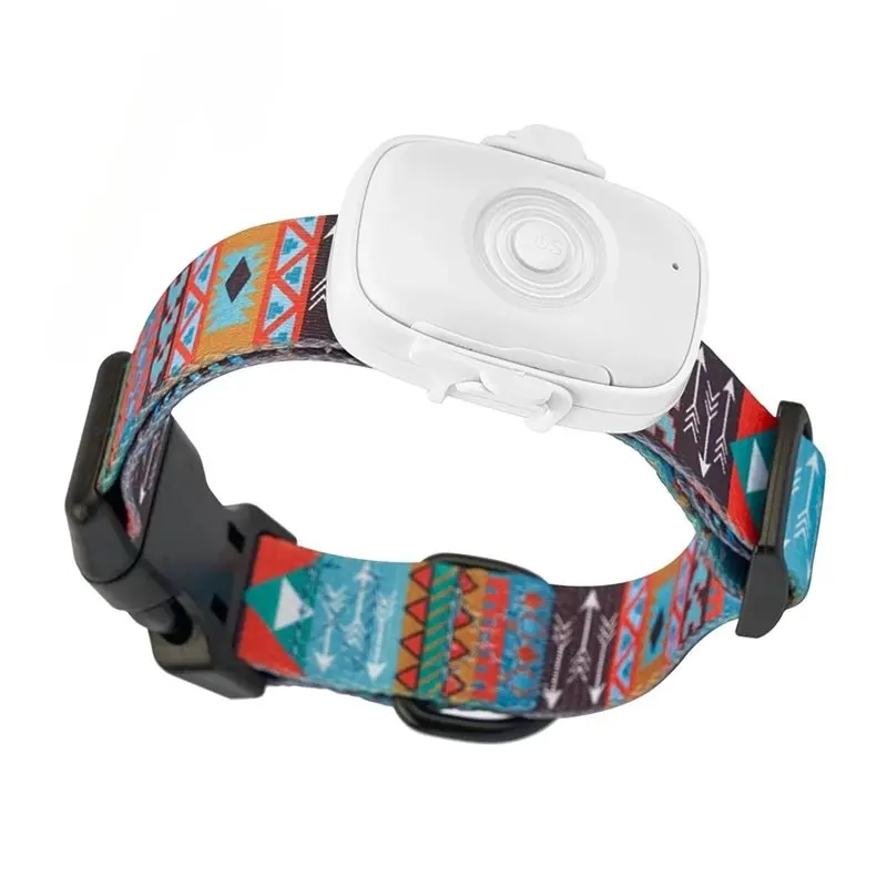 B67C 4G GPS جهاز تعقب الحيوانات الأليفة مع طوق قابل للتعديل في الوقت الحقيقي تتبع مكافحة خسر الكلب محدد IP66 مقاوم للماء