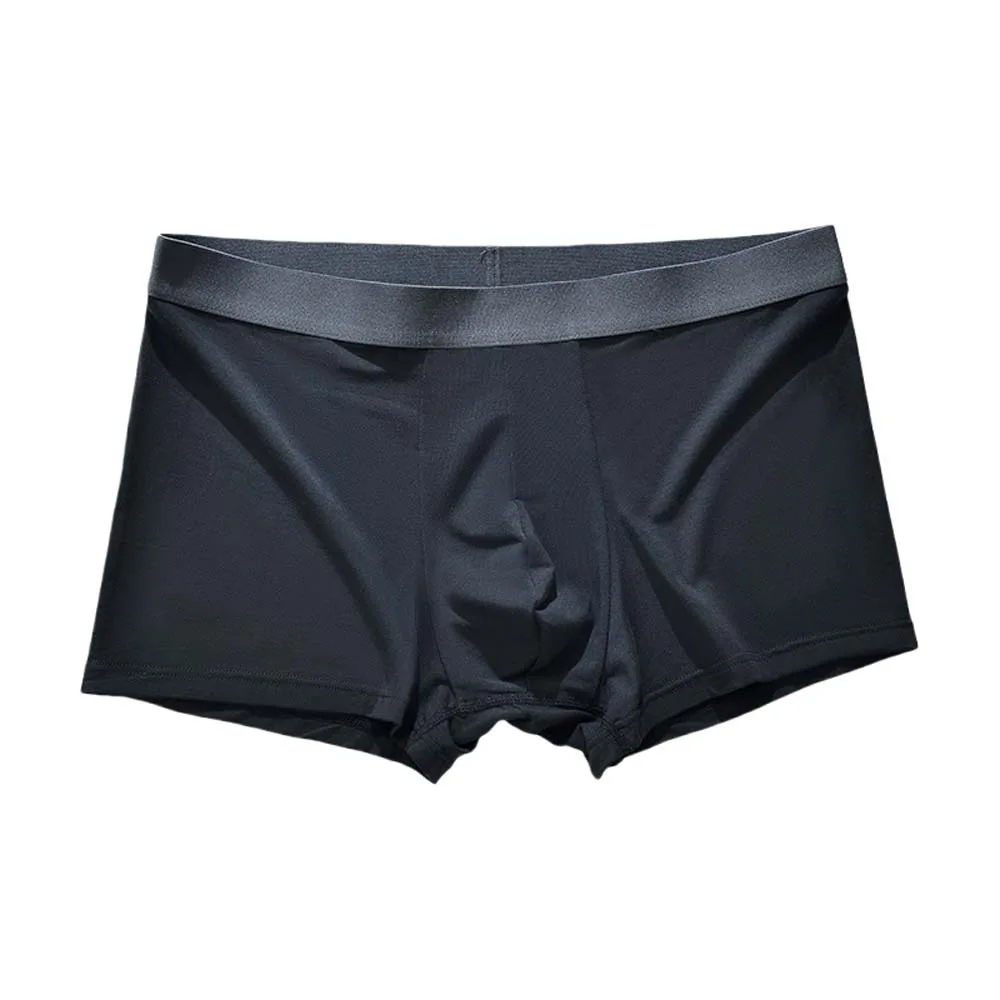 

Simple Elastic Thin Ice Silk Boxer Briefs Seamless Underpants Men Ice Silk Boxers Lingerie Panties Underwear for Men Gifts