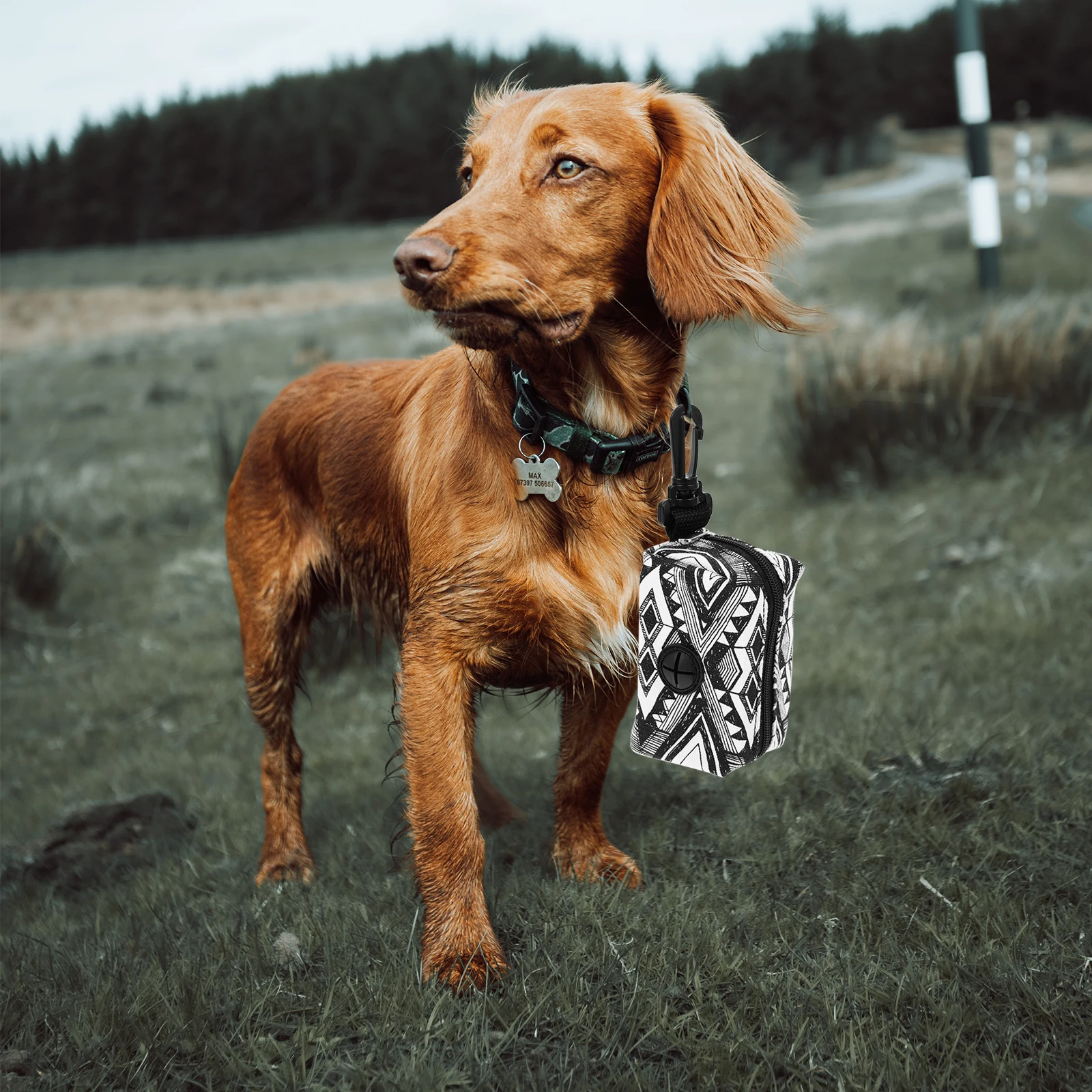 

5Pcs Dog Poop Bag Dispenser Pet Waste Bag Holder Lightweight Breathable Design for Walking Running Hiking