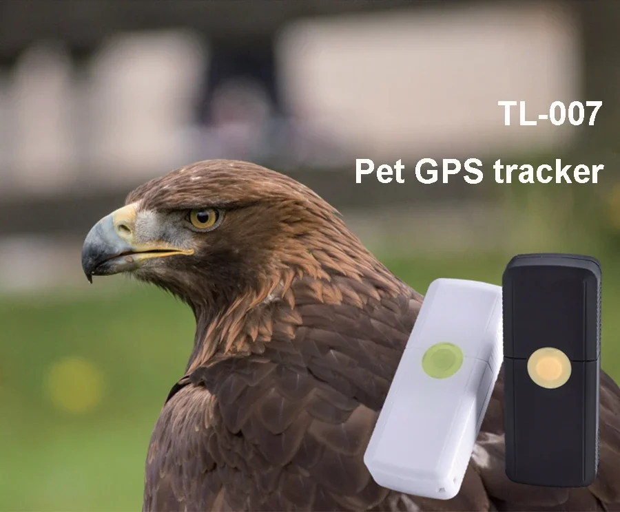 mini waterproof ip67 gps for pet birds GPS tracker