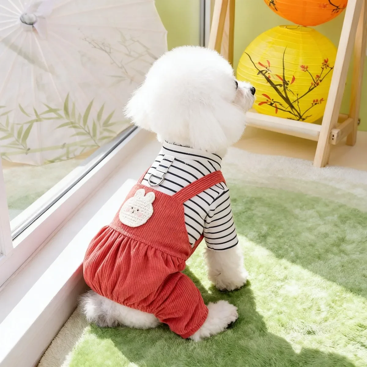 Pet Clothing, Dog Clothing, Spring and Summer Teddy Four Leg Strap Pants, Pet Clothing, 24 Day Day Traction Four Leg Pants