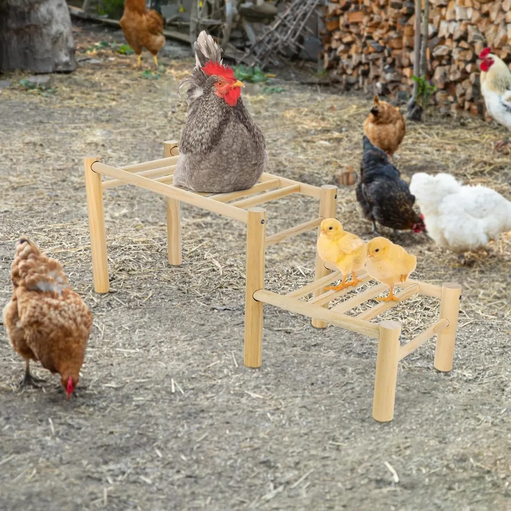 

Chicken Perch - Roosting Ladder for Chicken Coop - Jungle Gym & Toys for Poultry