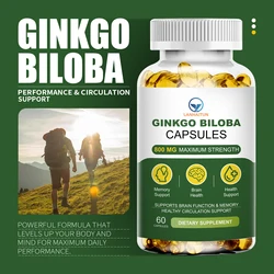 LANHAITUN Organic Ginkgo Biloba Capsules Help Keeps Alert and Sharp, Improving Concentration & Memory, Health Dietary Supplemnt