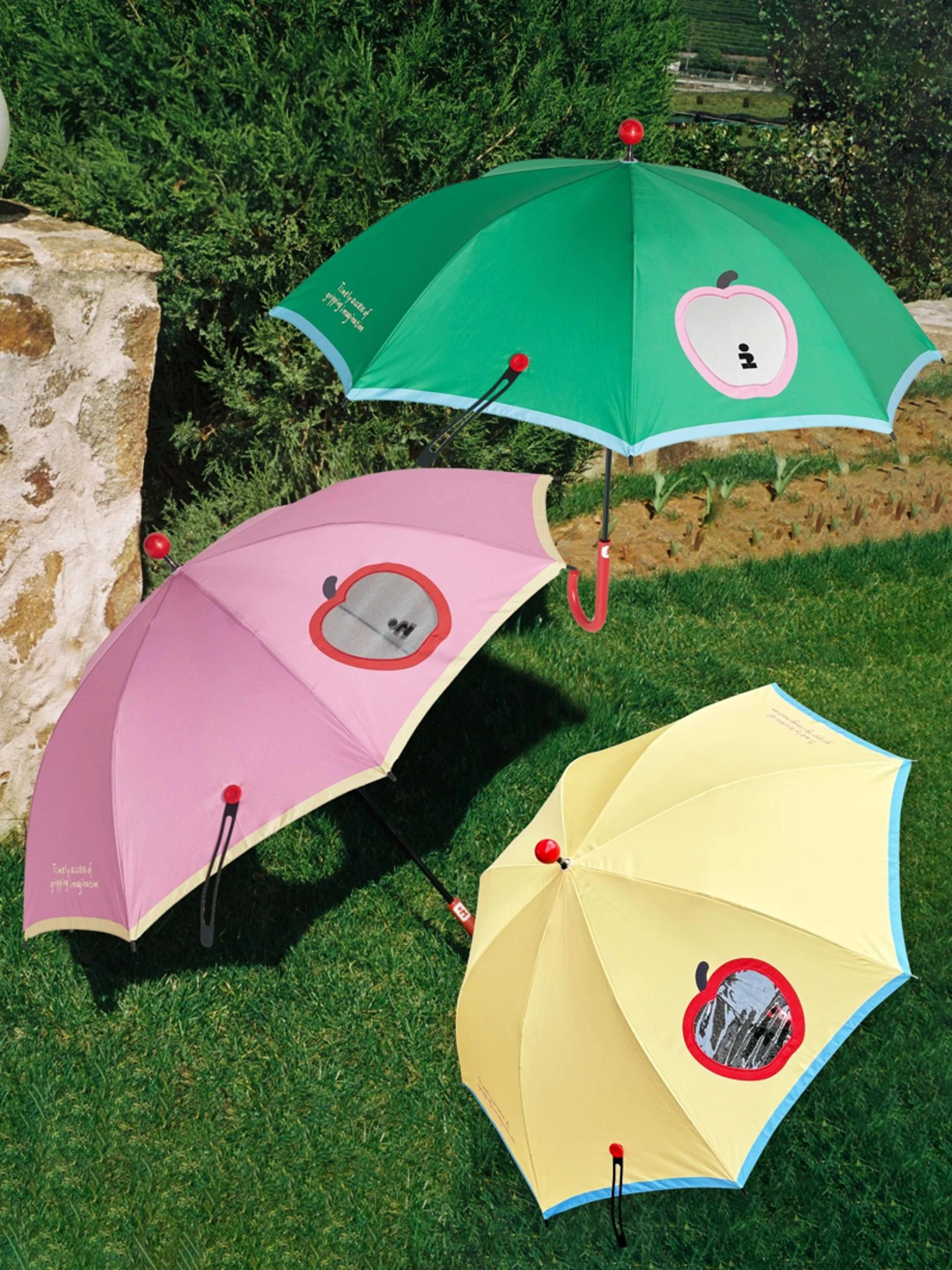 nuovo-ombrello-trasparente-tagi-rain-treasure-con-manico-lungo-e-bottoni-decorativi