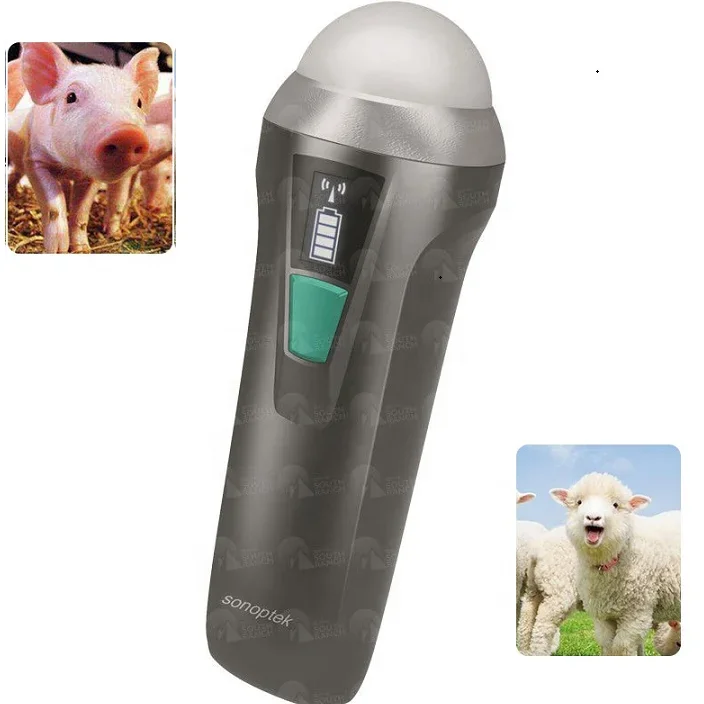 

MC100vet Small and light wifi veterinary ultrasound probe for pig and sheep checking