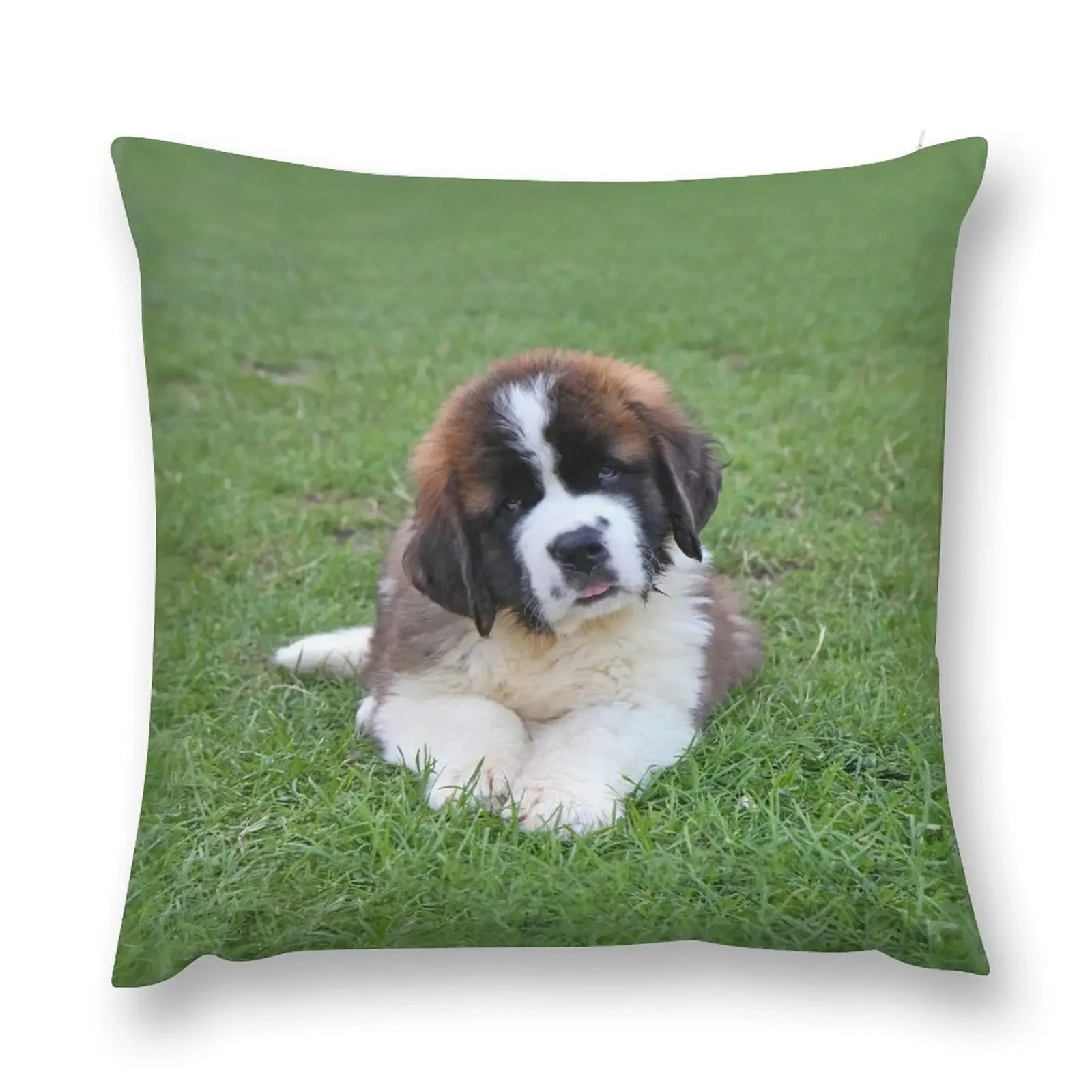 

Marley, St Bernard puppy Throw Pillow autumn pillowcase Plaid Sofa Room decorating items pillow