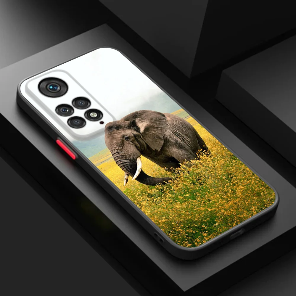 Phone Case For Redmi Note 11 11S 13 12 Pro 12c 5G Xiaomi 11t 12t 12x 4G Lite Elephant kangaroo Matte Frosted Translucent Cover