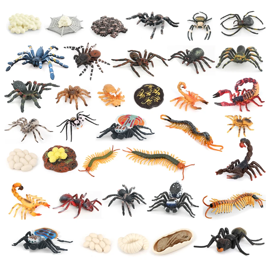 سلسلة دورة حياة مونتيسوري الواقعية من العنكبوت المراوح العقرب النمل الرتيلاء الحشرات نموذج أرقام تعلم ألعاب تعليمية