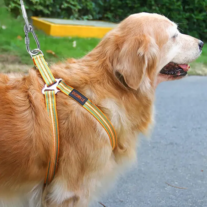Thumbnail 4 - #41 Dog Training Collars Discount Picks