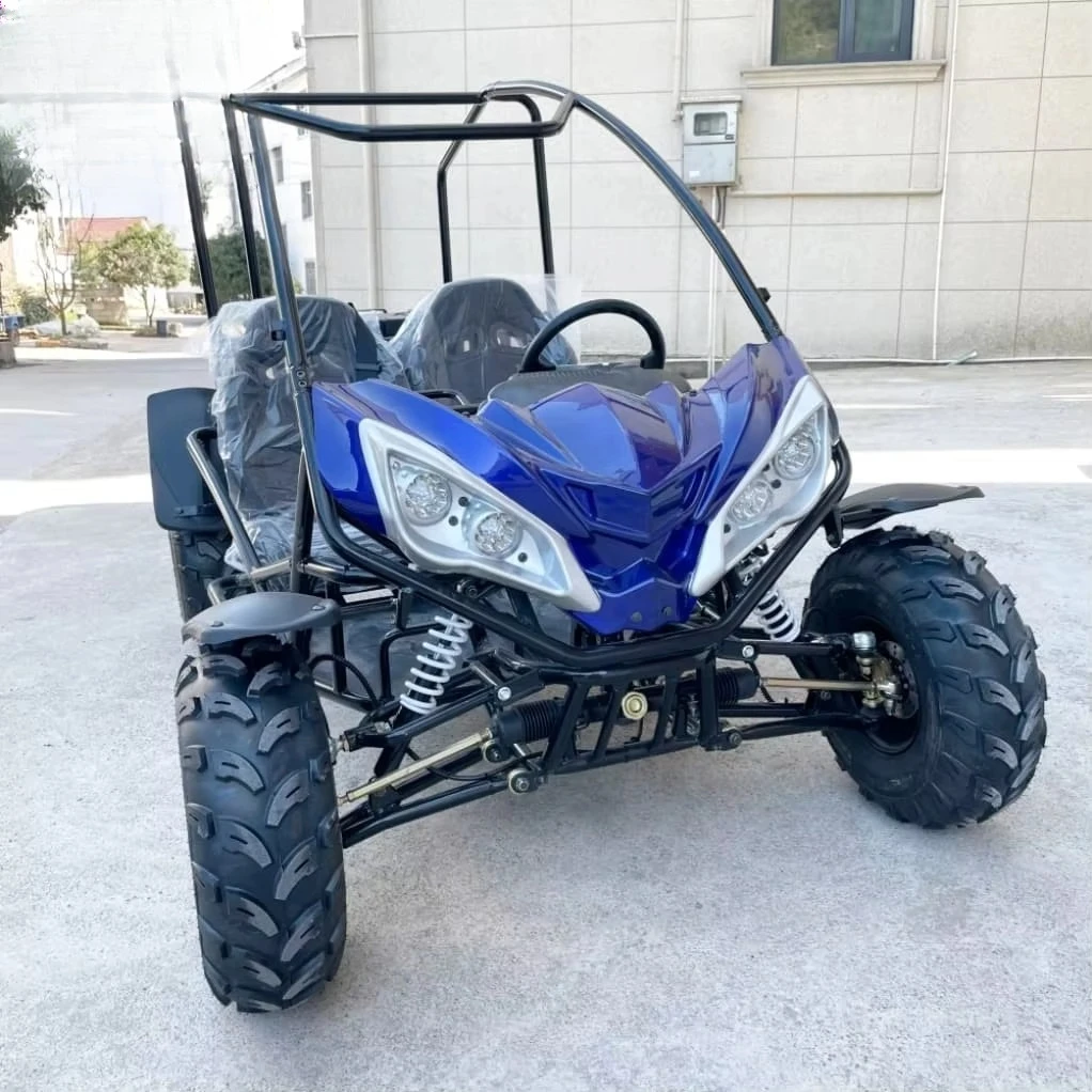 Customization LNA Multipurpose Adults Off Highway 2 Seater 2000w Electric Buggy Components Available Beach Driving