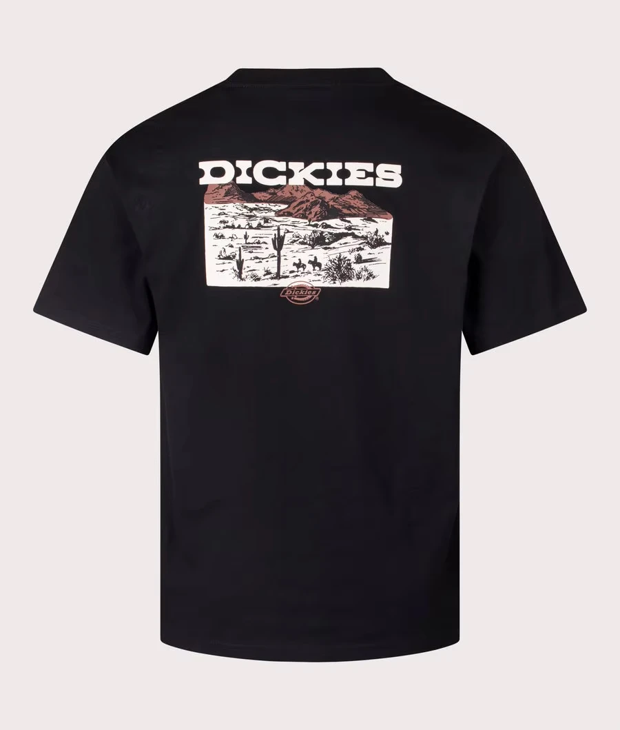 

Футболка свободного покроя с пейзажем в Egret Dickies Высококачественная роскошь для мужчин и женщин Топ Y2k Бесплатная доставка High Street Boom