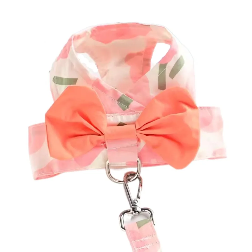 

Adjustable Dog Leash Vest Breathable Lightweight Puppy Chest Strap Comfortable with Leash Dog Harness Vest Outdoor Walk