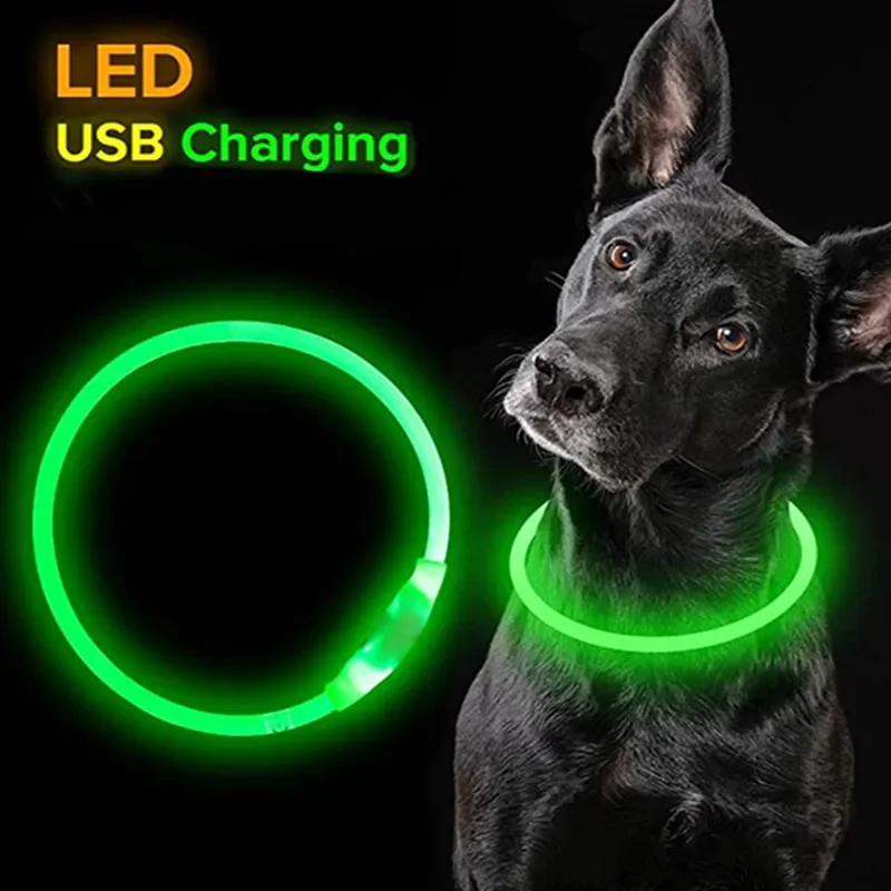 Collar Led para perro con luz USB, Collar para perro y gato, 3 modos de luz Led, prevención de pérdida, Collar LED, accesorios para perros y mascotas