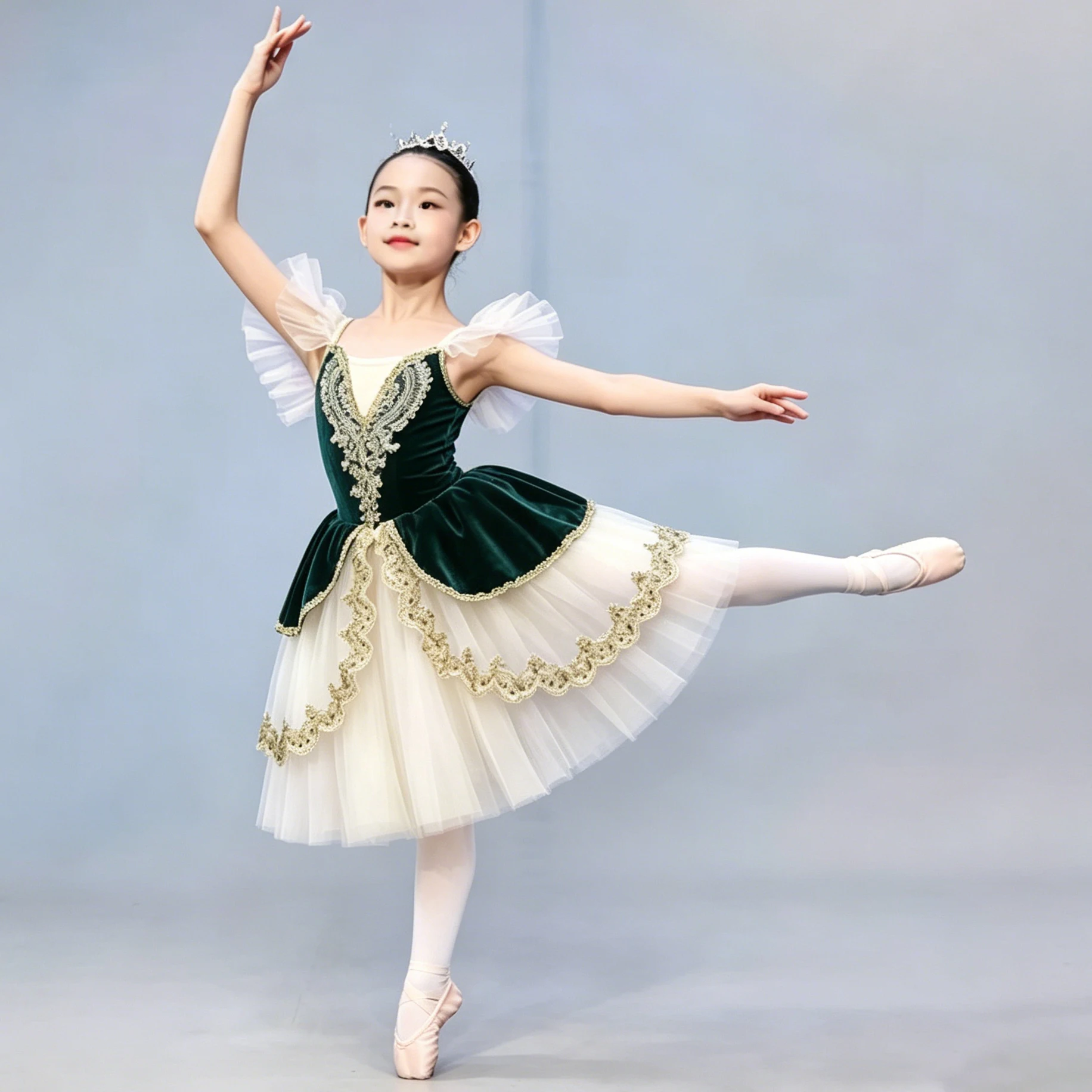 Professional Romantic Tutu Ballet Gauzy Dress Embroidery Velvet Ballerina Party Dress Children Girl Ballet Dance Costumes