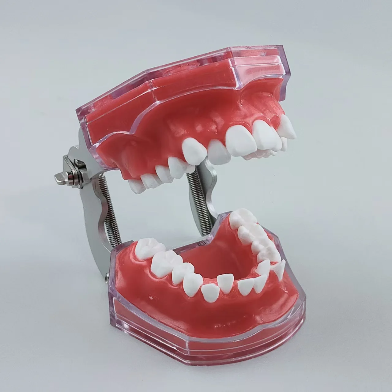 Dental Orthodontic Teeth Model Malocclusion Typodont With Red Wax Gum Dentistry Practice Demonstration Tool For Dentist Teaching