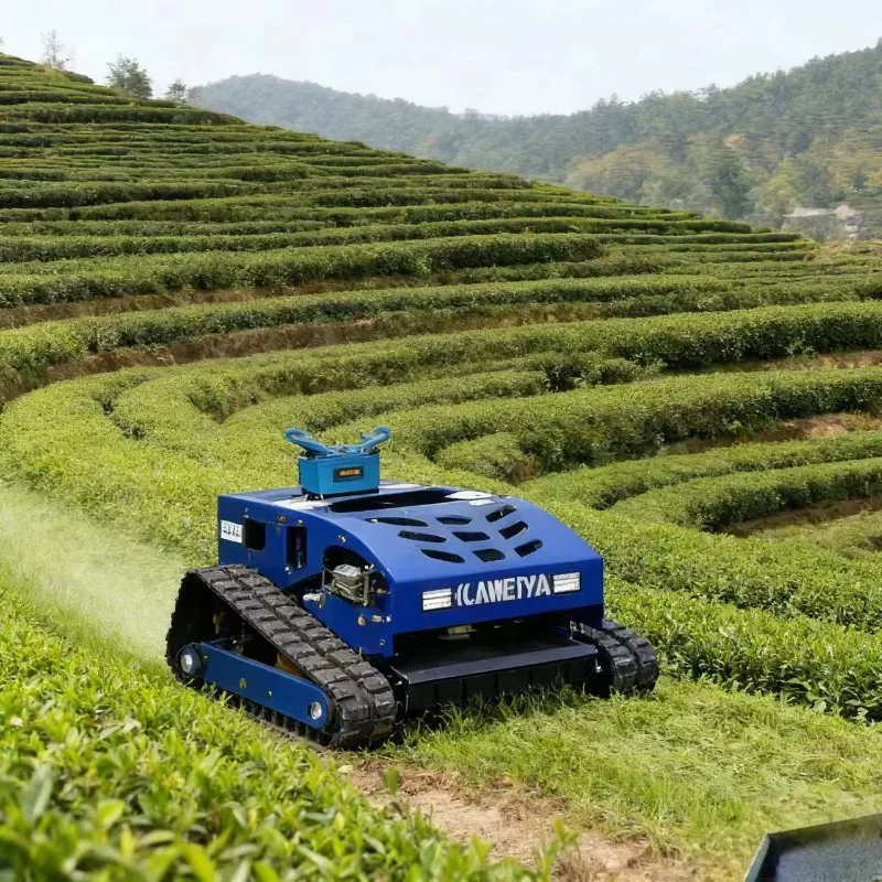 

2026Customized China New Commercial Remote Control Lawn Mower with Cutting Width 550mm Cutting Height 20-150MM