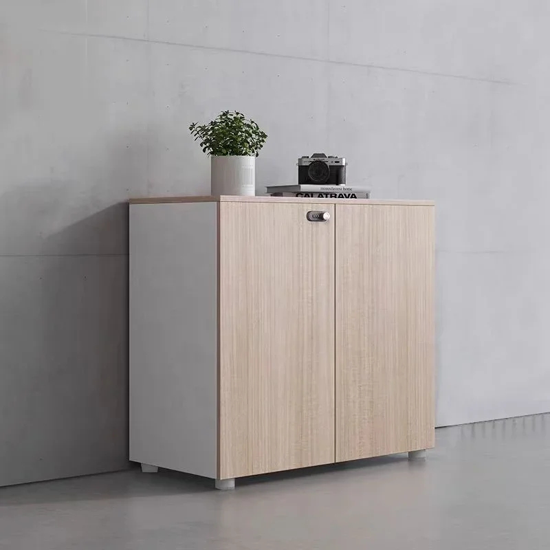 2026 Office Cabinet Decoration Partition Wall Cabinet