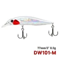 DW101--M