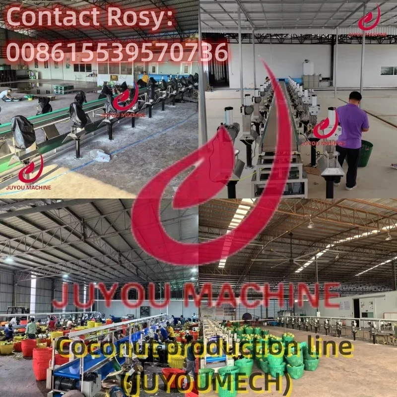 JUYOU-Green Coconut Peeler, Peeling Cutting Machine, Novo Tipo, Fornecer Inglês Pedido