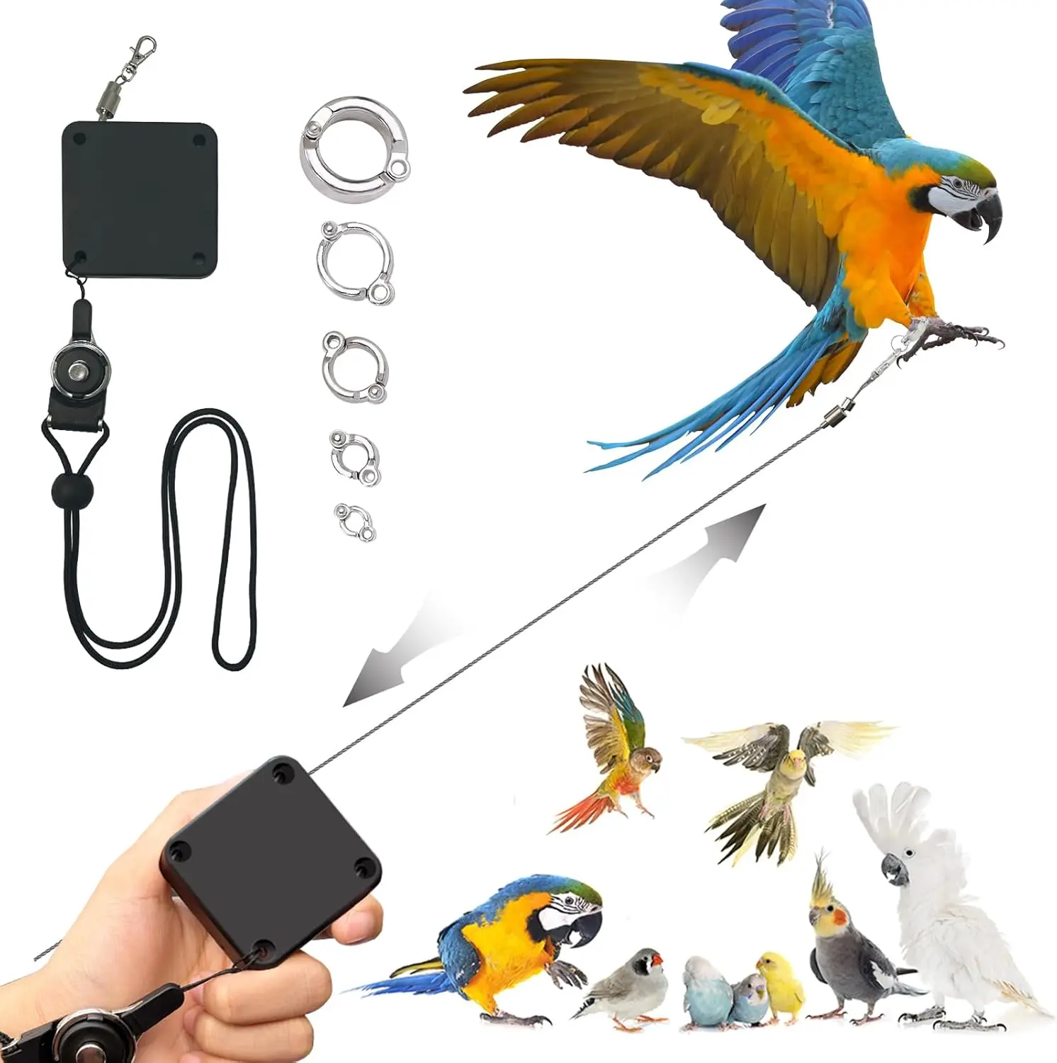 Retractable Bird Leash Parrot Flying Rope Anti-Bite Wire Rope Parrot Leash With 5pcs Alloy Foot Rings For Budgies Cockatiels Ect