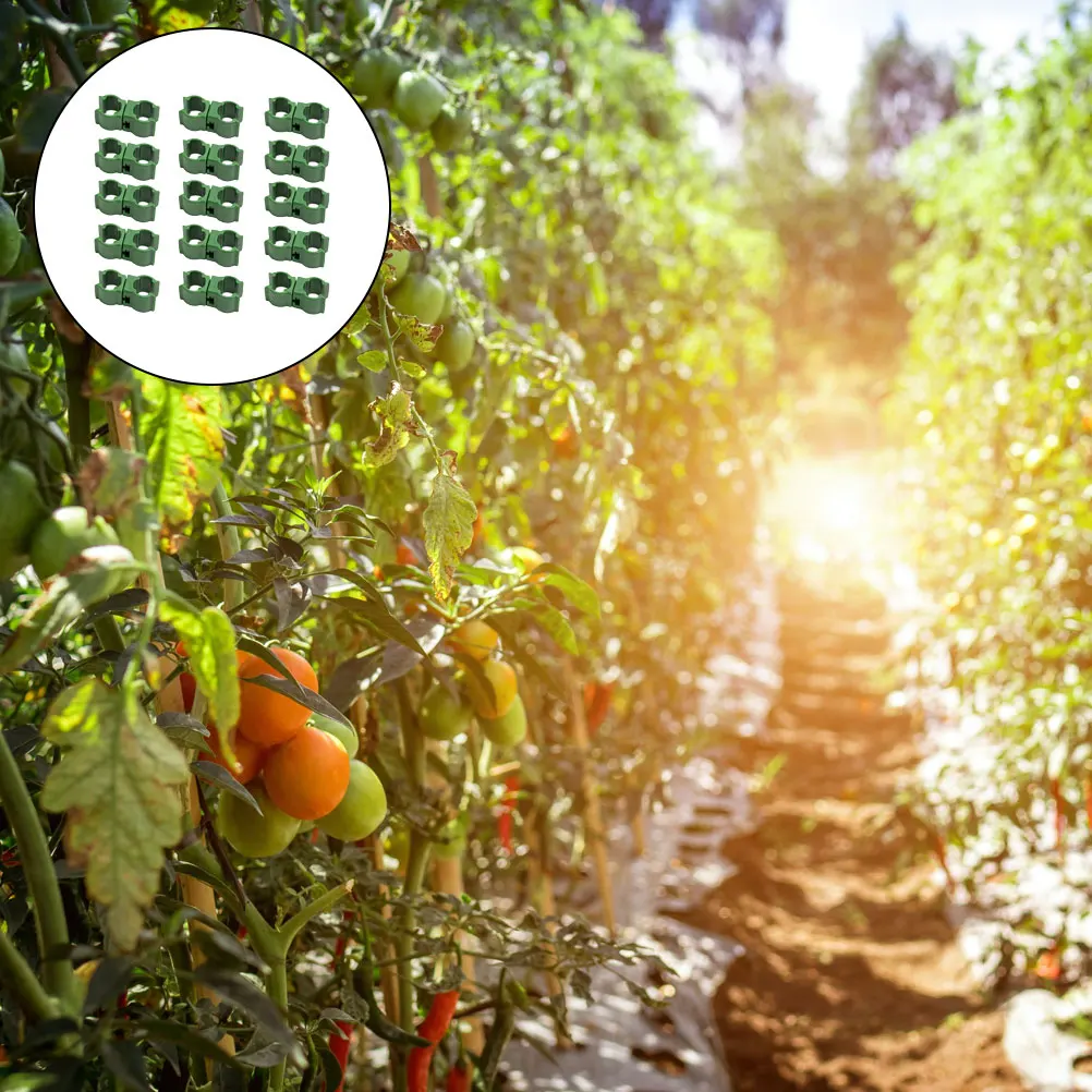 

50Pcs Sturdy Flower Rattan Plastic Connectors Design for Plant Support and Garden Climbing Structures