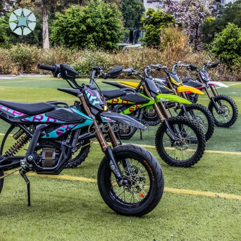 AliExpress NONE For New Dirt Bike Off Road Kids Racing Motorcycle Electric Bicycle Moto Youth Motorcycle Fast Electric Dirt