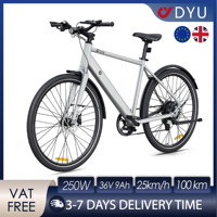DYU Stroll 1 Electric Bicycle 250W Brushless Motor 36V 9AH Battery Dual Hydraulic Disc Brakes Adult Electric Bike