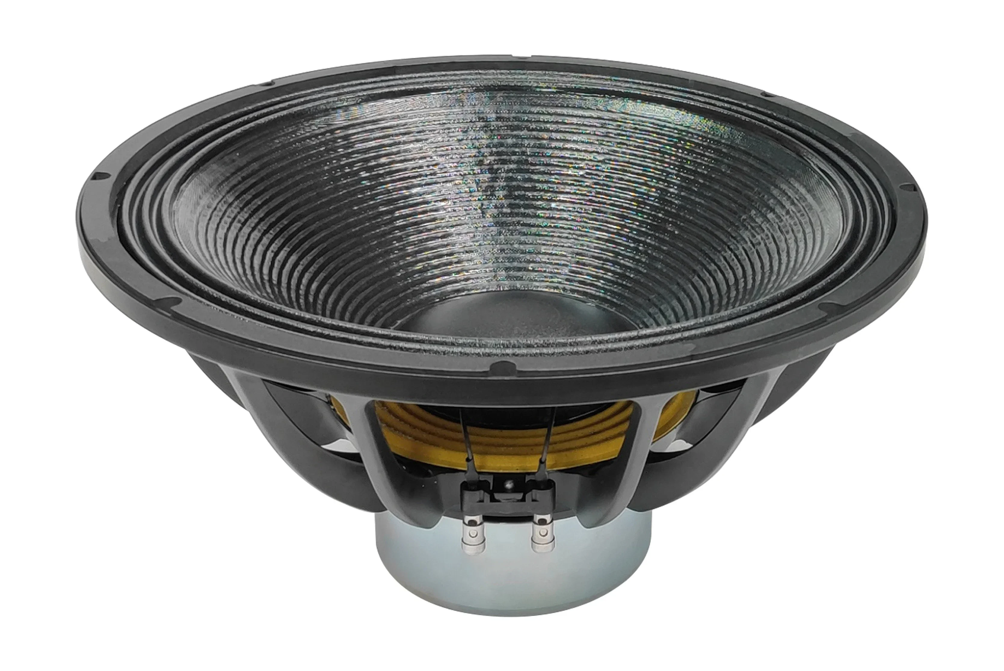 18 Inch Neodymium Speaker, 5 Inch Voice Coil 1500 Watt Subwoofer