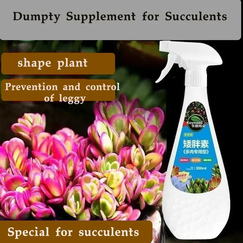 Succulent plant Eugenin promotes budding, dwarf fat, prevents leggy organic granules, succulent, and succulent 300ml