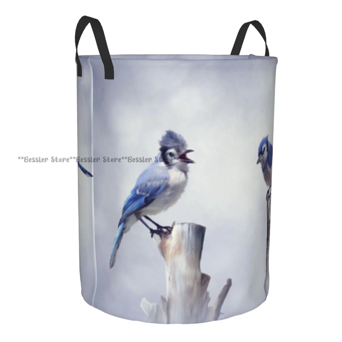 Foldable Laundry Basket for Dirty Clothes Bluish Jay Birds Perching On Thin Tree Log Smoky Cloudy Backdrop Storage Hamper