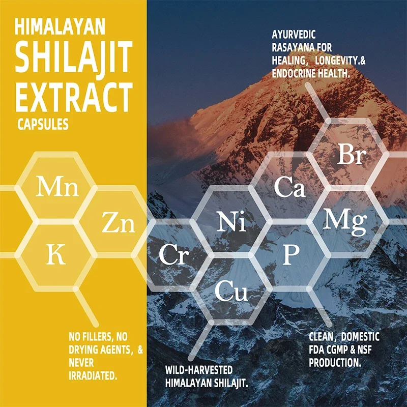 شيلاجيت-كبسولة حمض الهيمالايا الفلفيك والمعادن النقية ، كورديسيبس الجينسنغ ، دعم الجينسنغ ، مكمل طاقة الدماغ ، أصلي