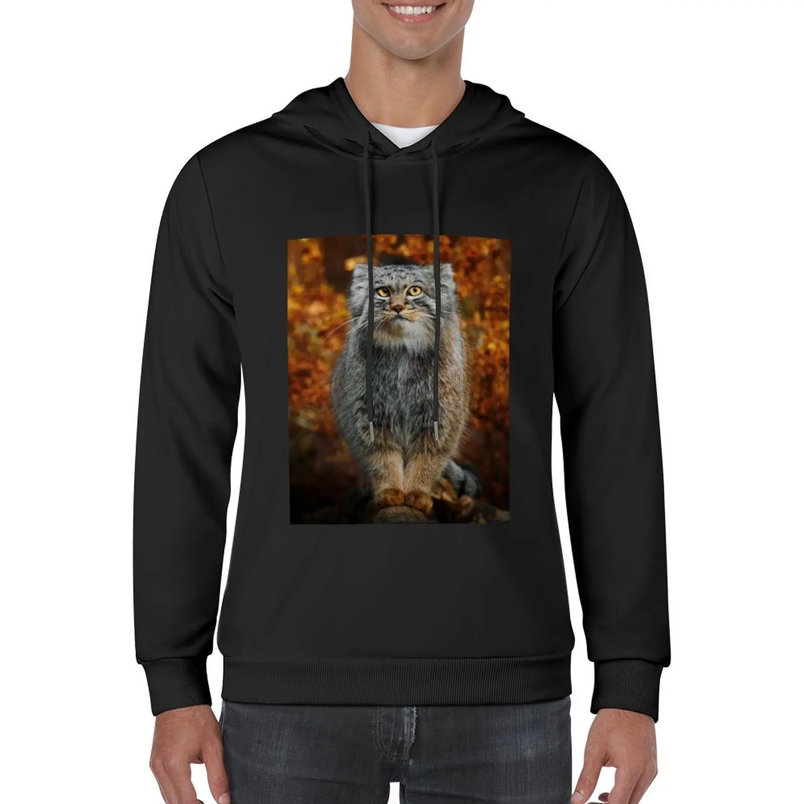 تي شيرت بغطاء للرأس من Pallas's Cat / Manul تي شيرت جرافيك للرجال ملابس شتوية للرجال قميص عرق ملابس خريف كورية بدلة رياضية للرجال