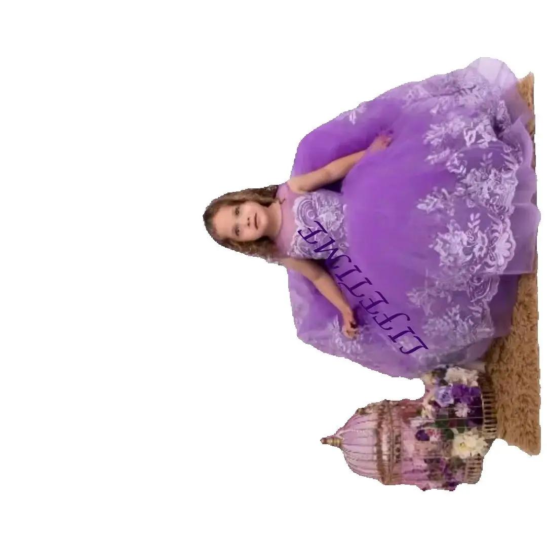 

Sleeveless Purple embroidered princess dress Flower Girl Dress for Wedding Ceremonies Holiday Celebrations Birthday party