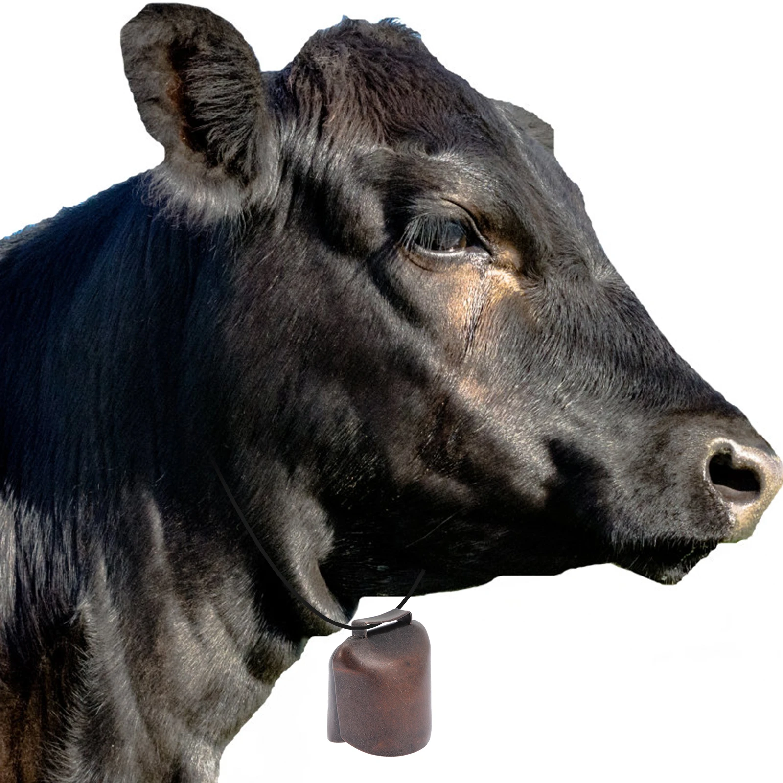 

2 Pcs Metal Bells Compact Retro Cattle Bells Livestock naments Grazing Supplies Farm Accessories Pet Products Durability Iron