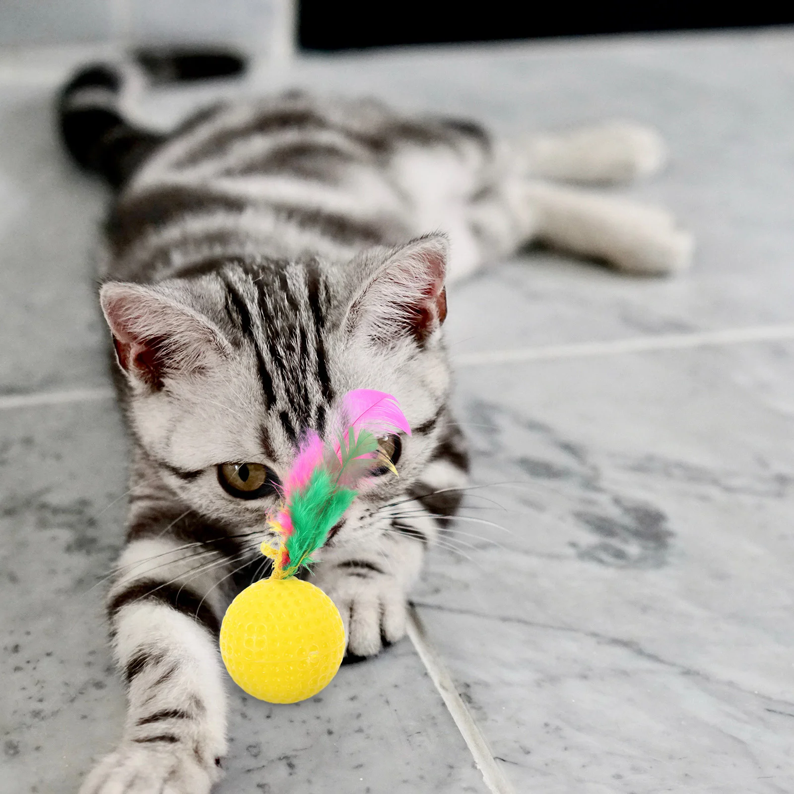 24 Pcs Badminton Cat Teasing Toy Playthings for Home Interactive Toys Feather Cats Kitten Golf Entertainment Shop