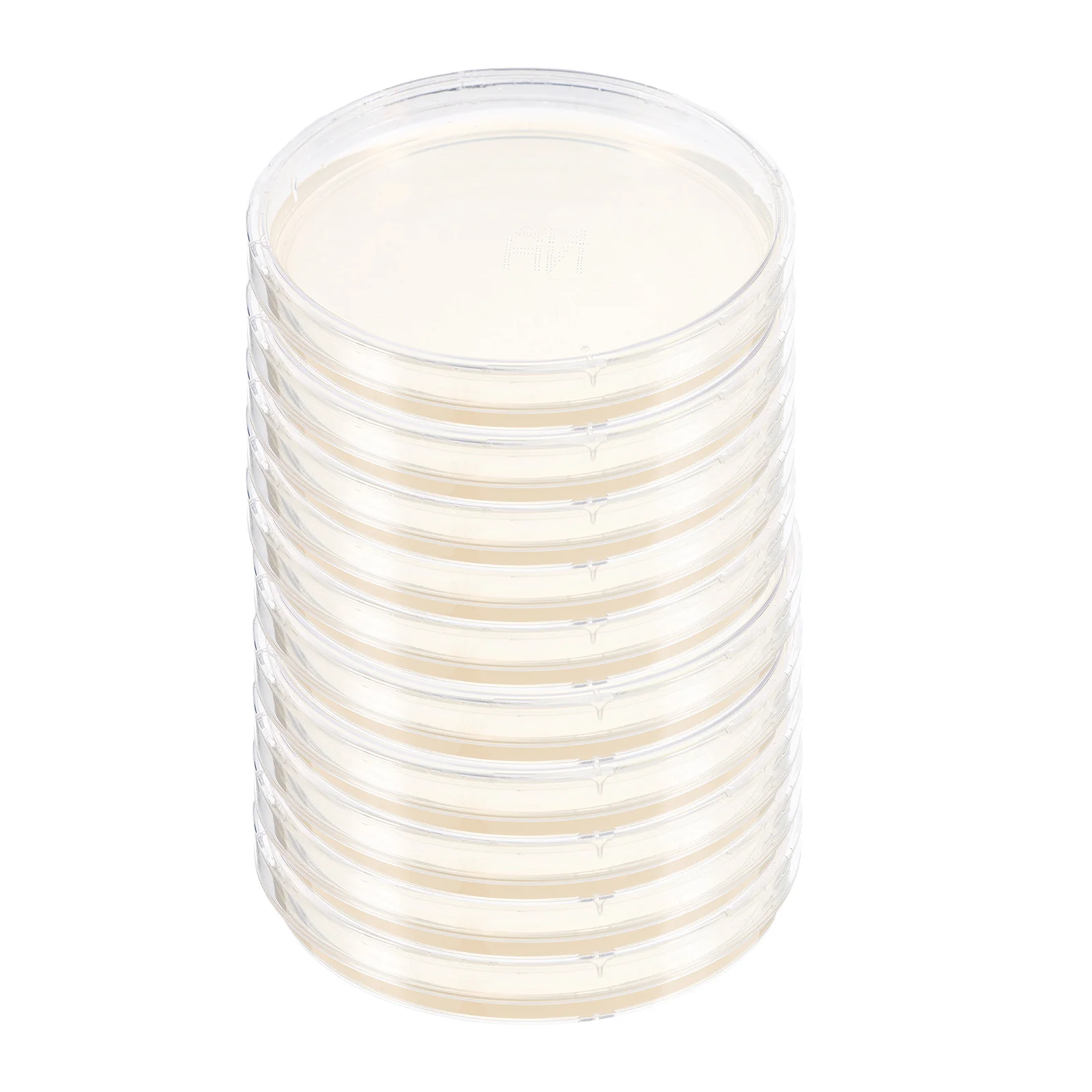 

10 Pcs Agar Plate Laboratory Supplies Science Projects Tool Petri Dishes Experiment Prepoured with Portable Plates