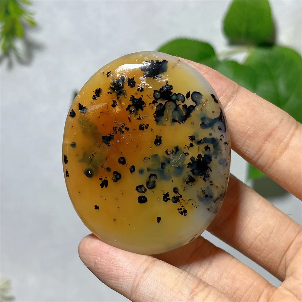 Agate Palm Branch Twig Free Form Specimen Stone Quartz Mineral Reiki Healing Crystal Natural Gemstones Home Decoration