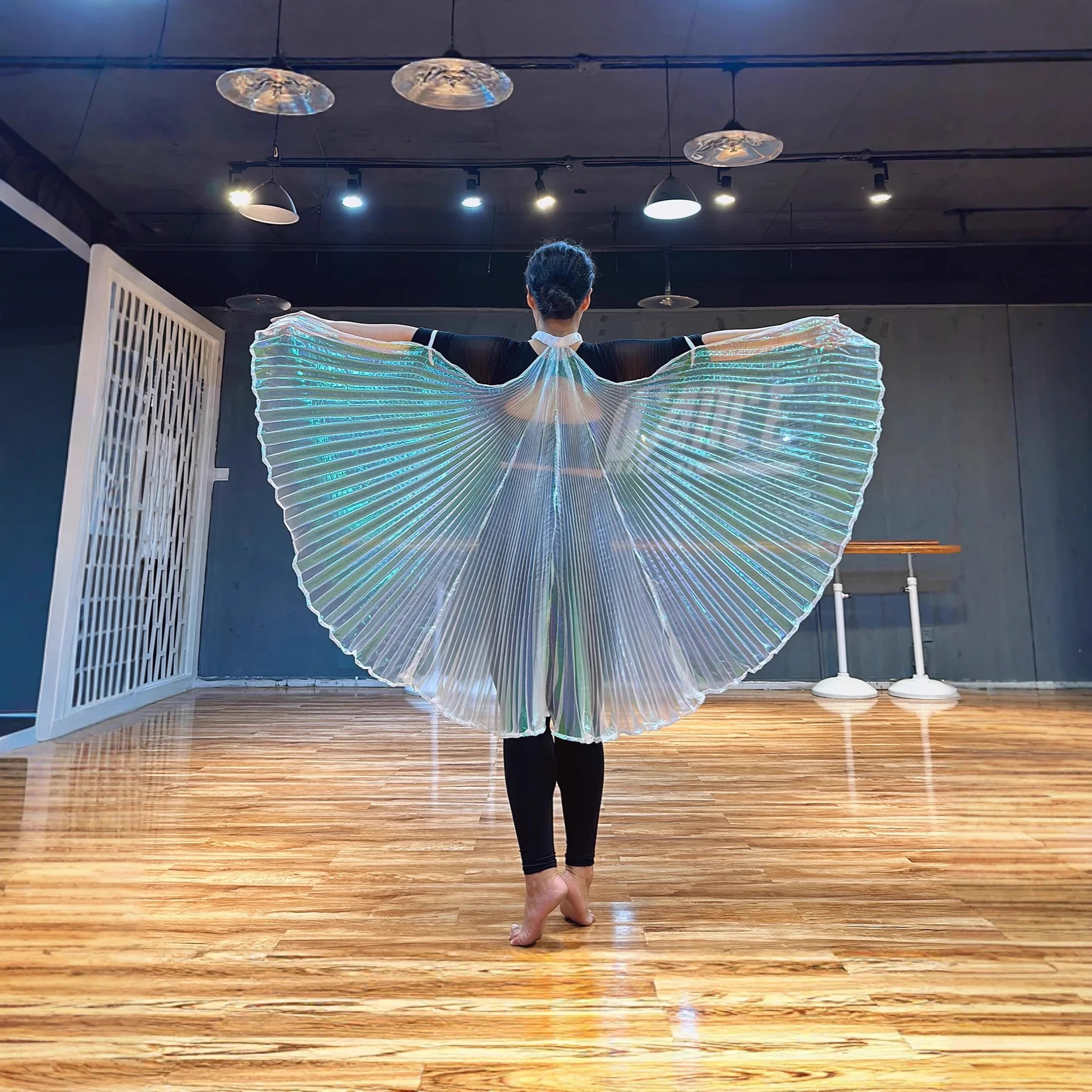 Belly Dance เสื้อผ้าตกแต่งด้านหลังปีก Hand Hook สไตล์ปีกโปร่งใส Wing Dance Performance ProPerformance อุปกรณ์เสริม