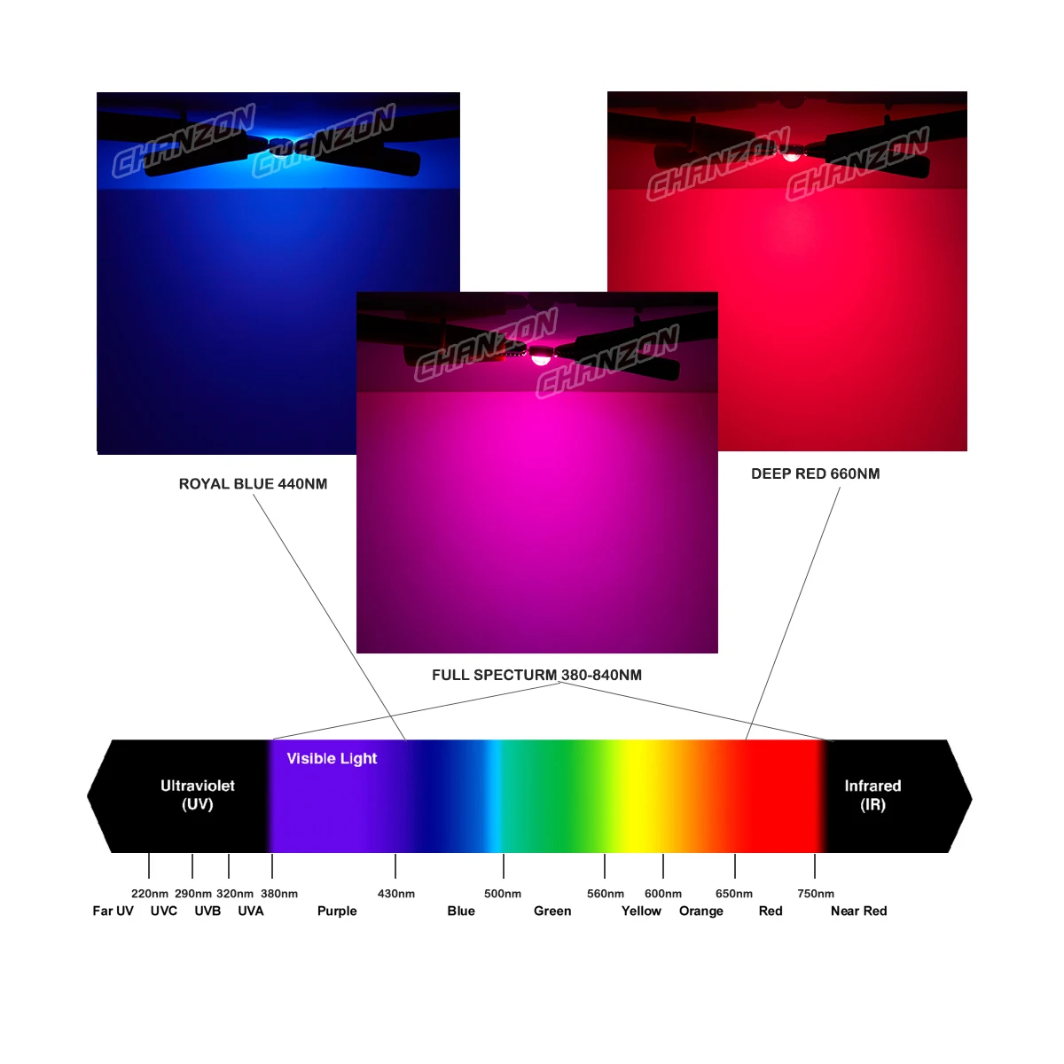 Hochleistungs-Pflanzen-LED-Wachstumslicht, 440 Nm, 660 Nm, tiefrot, Königsblau, Vollspektrum, 1 W, 3 W, 5 W, 10 W, 20 W, 30 W, 50 W, 100 W, LED-Chip-Lampe – Detail 6