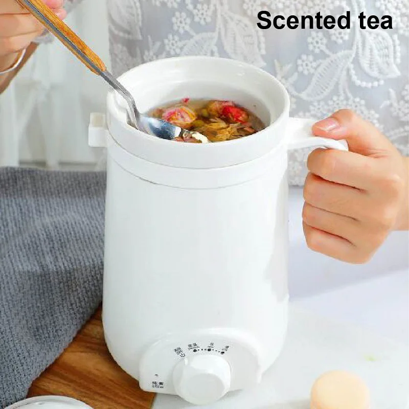 110V/220V Health Pot Office Porridge Cup Dormitory Mini Heat Water Cup Portable Bird's Nest Flower Tea Electric Stew Cup 500ML