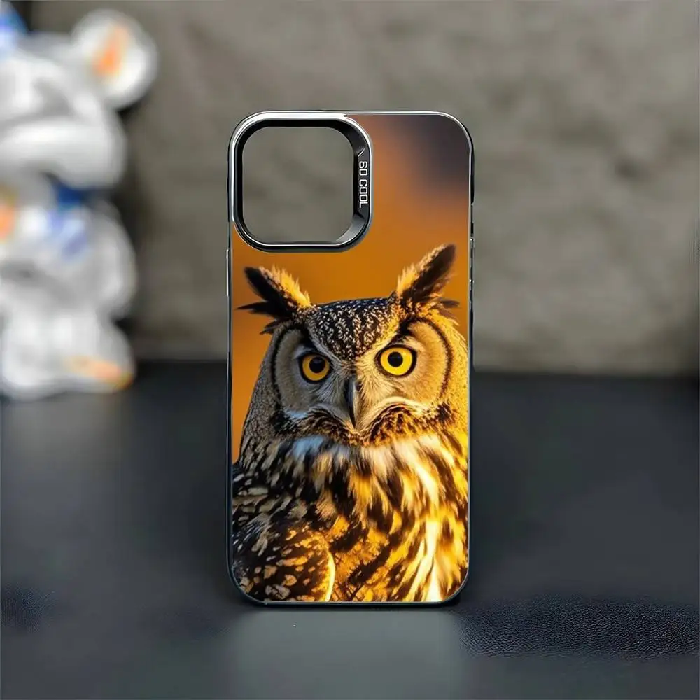 Owl Phone Case For iPhone17,16,15,14,13,12,11 Pro Max Blcak Colorful Silver Plated Inside Phone Case
