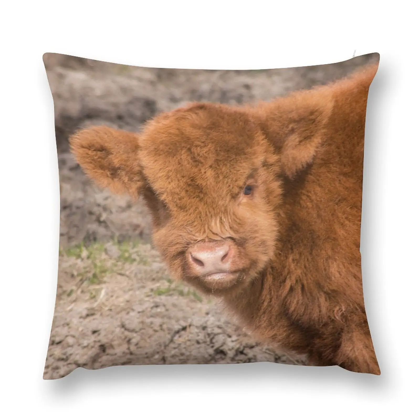 

Scottish Highland baby coo Throw Pillow Plaid Sofa Pillow Cover pillow